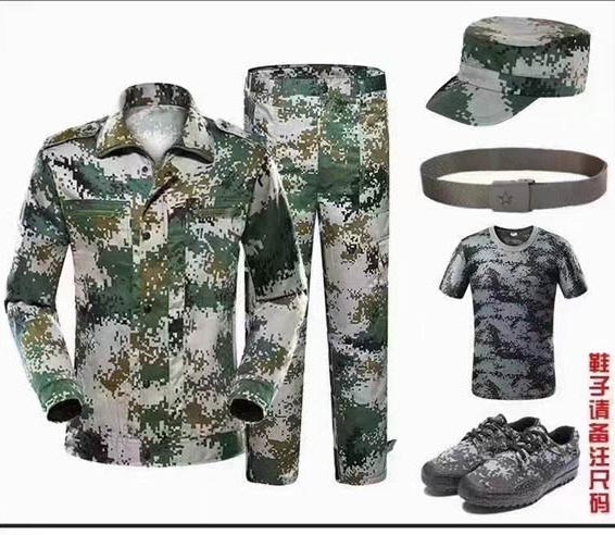 ɽ��������